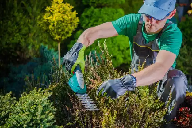 landscaping services Rochester Hills